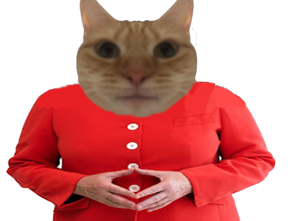 https://image.noelshack.com/fichiers/2021/35/3/1630499150-z9ll7wd1.png