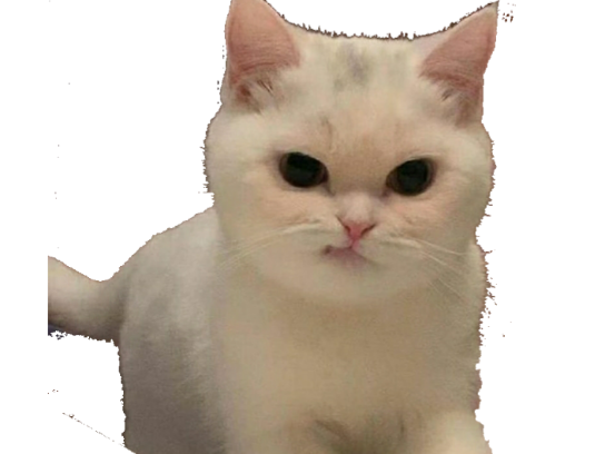 https://image.noelshack.com/fichiers/2021/44/7/1636259565-20211107-003221.png