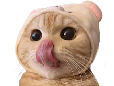 https://image.noelshack.com/fichiers/2021/45/6/1636765919-esfrgrgrdg.png