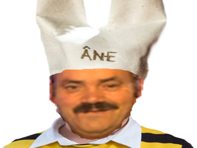 https://image.noelshack.com/fichiers/2022/07/2/1644954384-sans-titrane.png