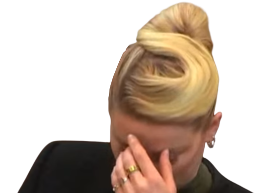 https://image.noelshack.com/fichiers/2022/22/1/1653919976-ambruh.png