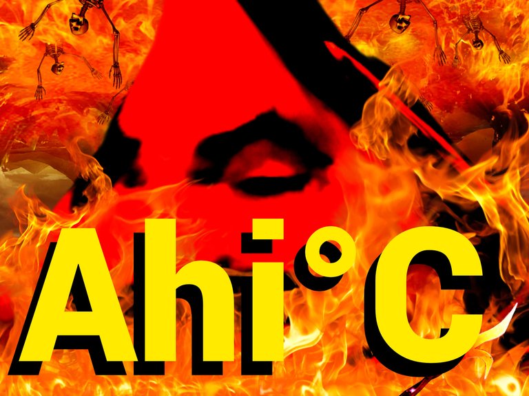 https://image.noelshack.com/fichiers/2022/24/5/1655501590-ahi-chaud-tison.jpg