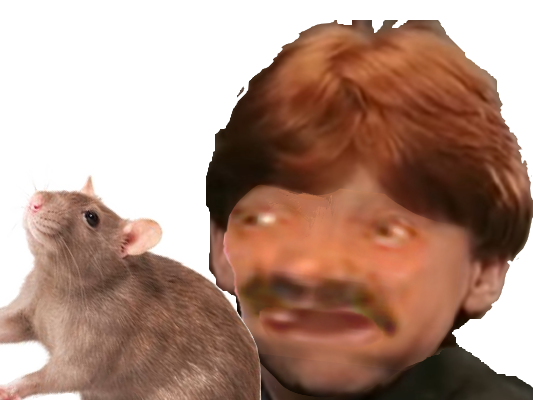 https://image.noelshack.com/fichiers/2022/26/7/1656832103-croutard.png