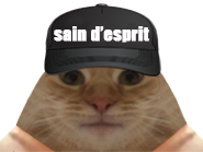 https://image.noelshack.com/fichiers/2022/39/7/1664745495-seindesprix.png
