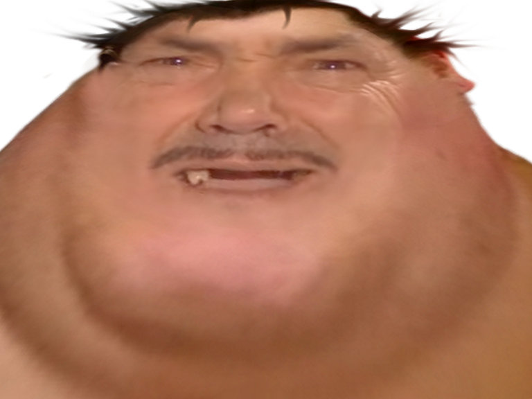 https://image.noelshack.com/fichiers/2023/08/1/1676927960-obese.png