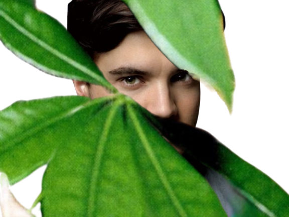 https://image.noelshack.com/fichiers/2023/24/3/1686757966-emile-birch.png