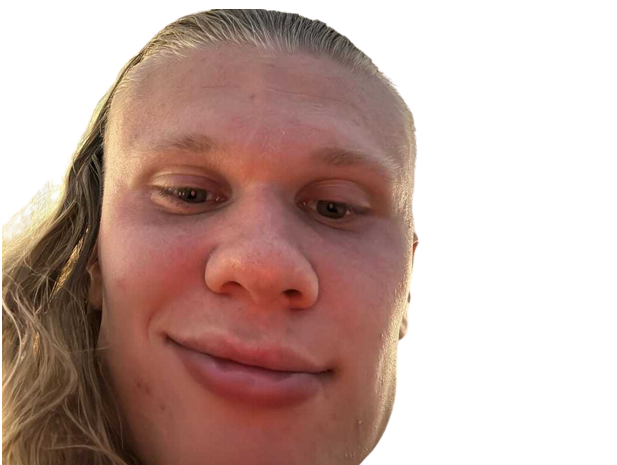 https://image.noelshack.com/fichiers/2023/26/1/1687775122-haaland-patate-mirroir.png