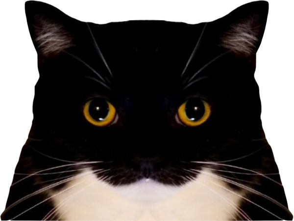 https://image.noelshack.com/fichiers/2024/02/7/1705254088-chat-tout-mignon-2.png