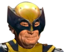 https://image.noelshack.com/fichiers/2024/32/4/1723071620-loganjes.png