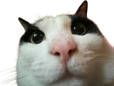 https://image.noelshack.com/fichiers/2025/03/3/1736971581-chakbarhd-2.png