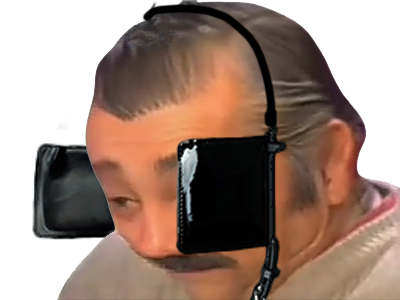 https://image.noelshack.com/fichiers/2025/08/4/1740041946-oeilleres.png