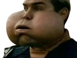 https://image.noelshack.com/fichiers/2025/45/4/1762437283-biengraisseux.png