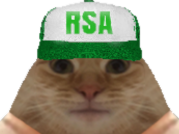 https://image.noelshack.com/fichiers/2026/07/2/1770753249-full.png
