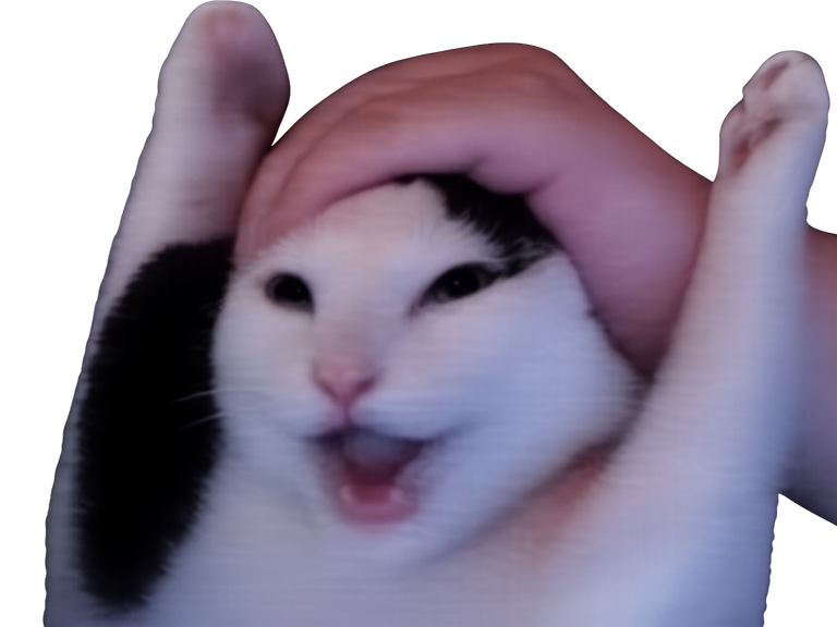 https://image.noelshack.com/fichiers/2026/19/2/1777972245-chat-hype-knifos.jpg