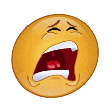 https://image.noelshack.com/fichiers/2026/19/3/1778020583-smiley-face-tears.gif