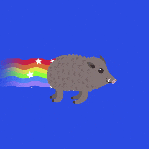 https://image.noelshack.com/fichiers/2026/20/3/1778691475-image.gif