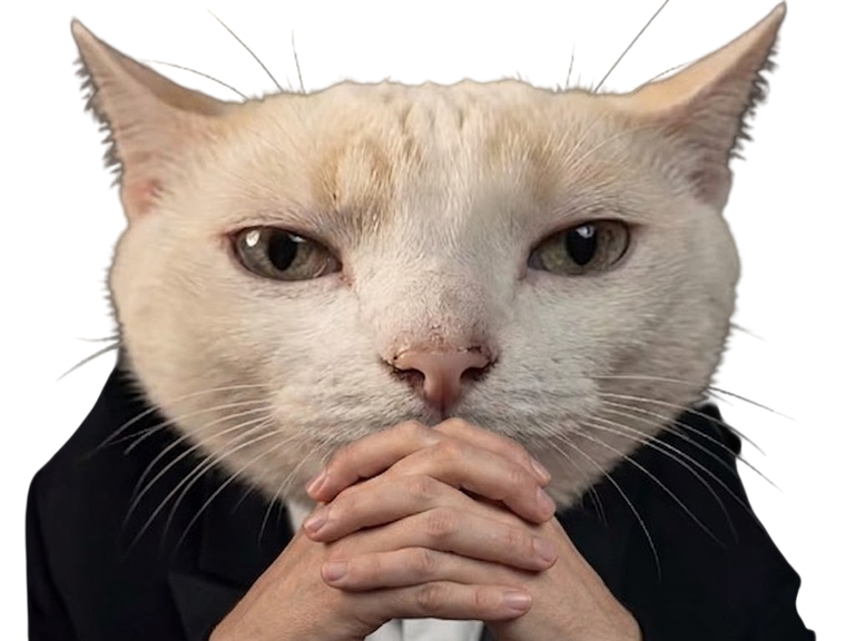 https://image.noelshack.com/fichiers/2026/20/4/1778764855-a9818c62-5068-4390-a274-005ac769ee96-photoroom.png