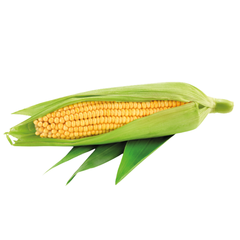 https://image.noelshack.com/fichiers/2026/33/4/1786633690-mais-groenten-veggipedia-v2.jpg