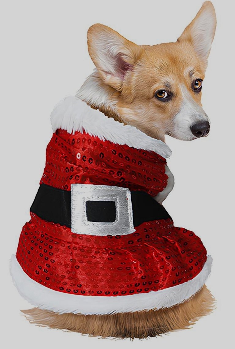 https://image.noelshack.com/fichiers/2026/38/1/1789385184-img-20260914-132201.jpg