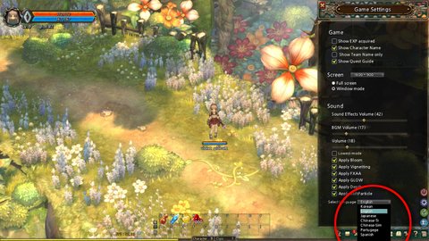 Vers une traduction communautaire pour Tree of Savior
