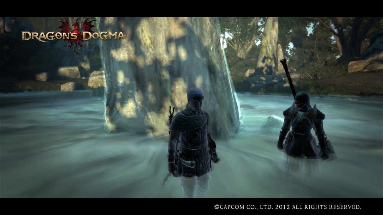 La Source Qui Soigne Dans Gran Soren Sur Le Forum Dragon S Dogma 02 06 12 14 46 51 Jeuxvideo Com