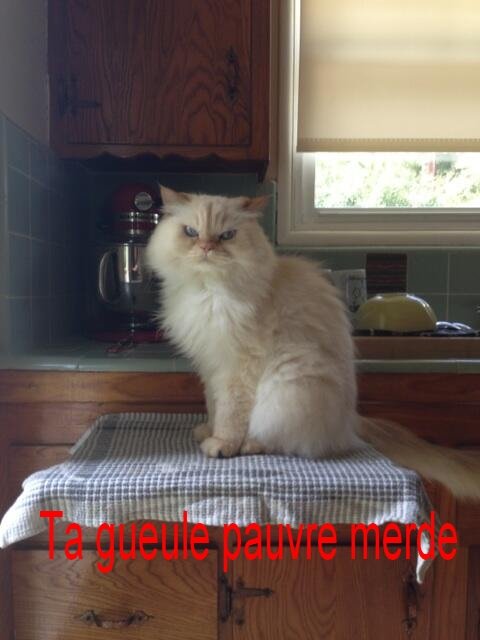 Les Dragibus Bi cool bave Sur Le Forum Blabla 18 25 Ans 12 09 2013 21 57 32 Jeuxvideo