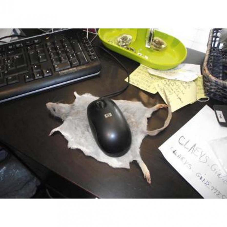 Смешная компьютерная мышь