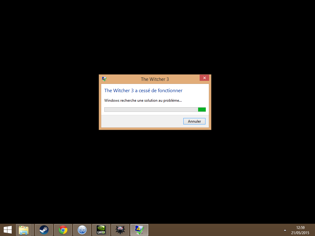 Le Jeu A Cesse De Fonctionner Sur Le Forum The Witcher 3 Wild Hunt 21 05 2015 13 01 28 Jeuxvideo Com