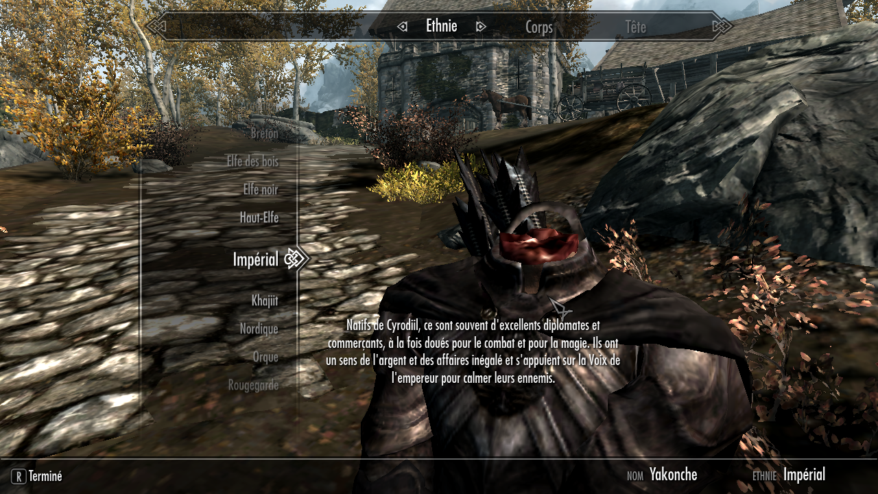 [BUG] Plus de tête sur PC sur le forum The Elder Scrolls V : Skyrim ...
