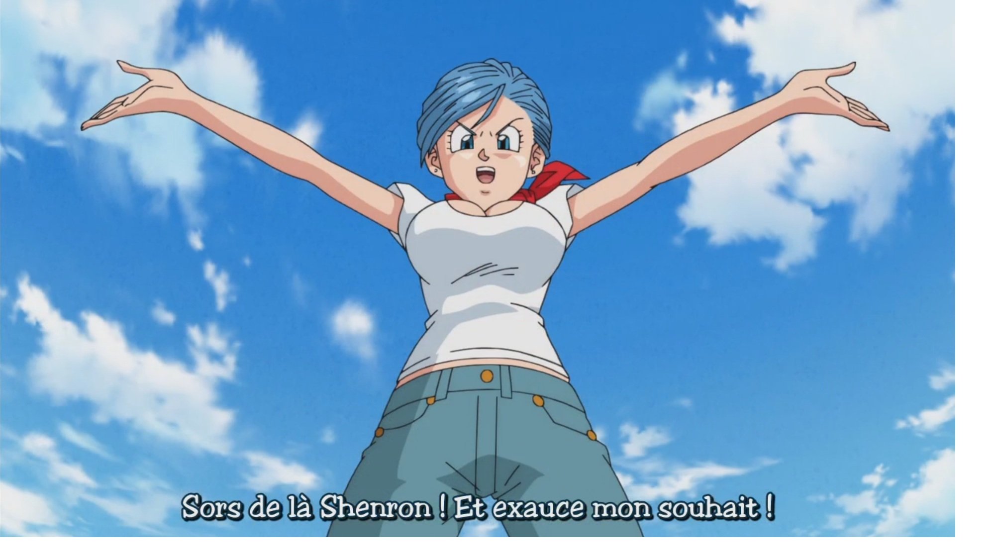 Bulma seins