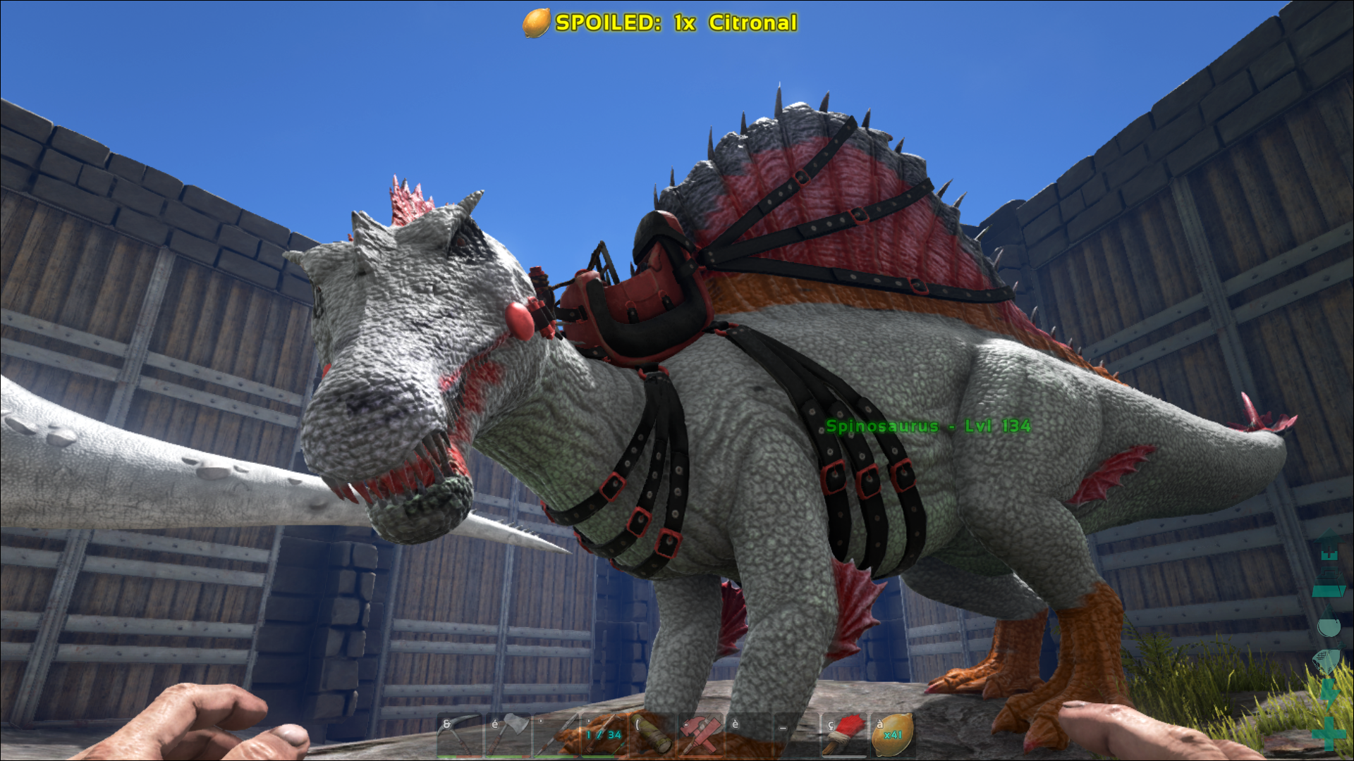 Paint Template Spinosaur Sur Le Forum Ark Survival Evolved 10 02 16 11 13 Jeuxvideo Com