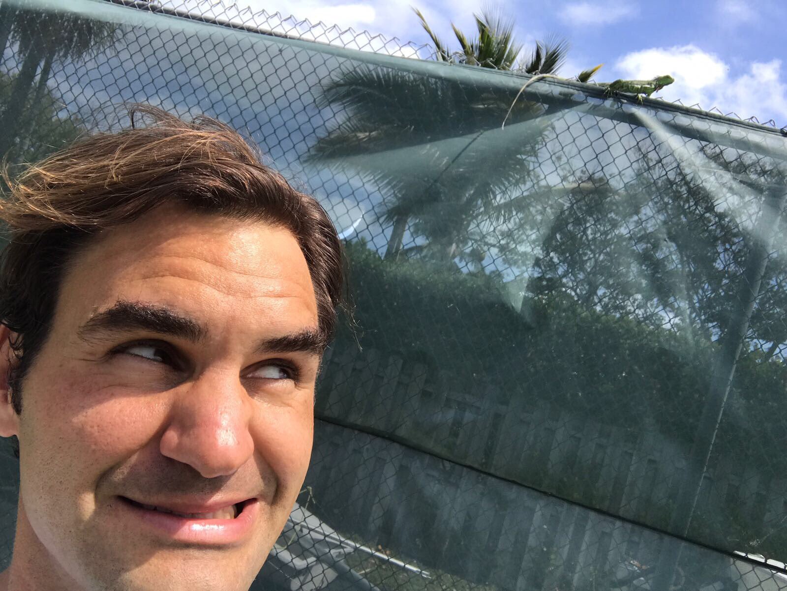 https://image.noelshack.com/fichiers/2017/12/1490463787-federer-iguane.jpg