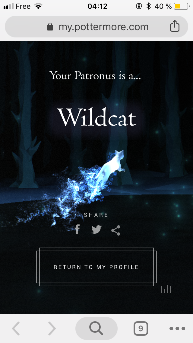 Mon Patronus C Est Le Chat Sauvage Sur Le Forum Blabla Moins De 15 Ans 01 10 18 00 06 07 Jeuxvideo Com