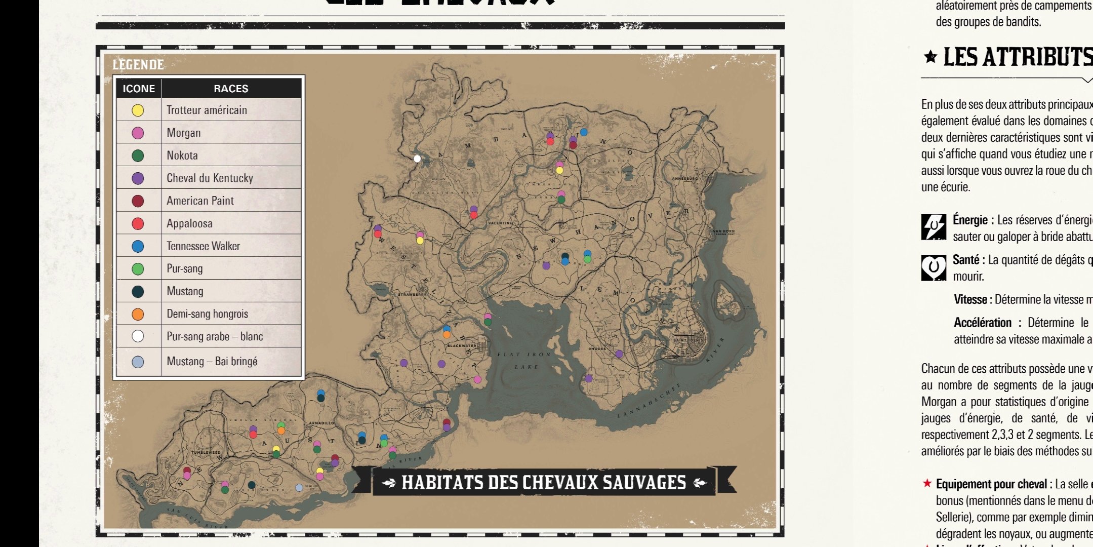 [Chevaux] Les Pur Sang sur le forum Red Dead Redemption 2 29102018 063430