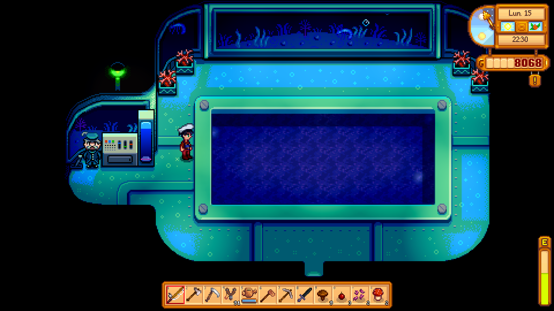 Marché nocturne hiver sirène et sousmarin sur le forum Stardew Valley 02012019 191045