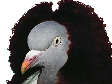 mount and blade bannerlord coop mount and blade bannerlord coop