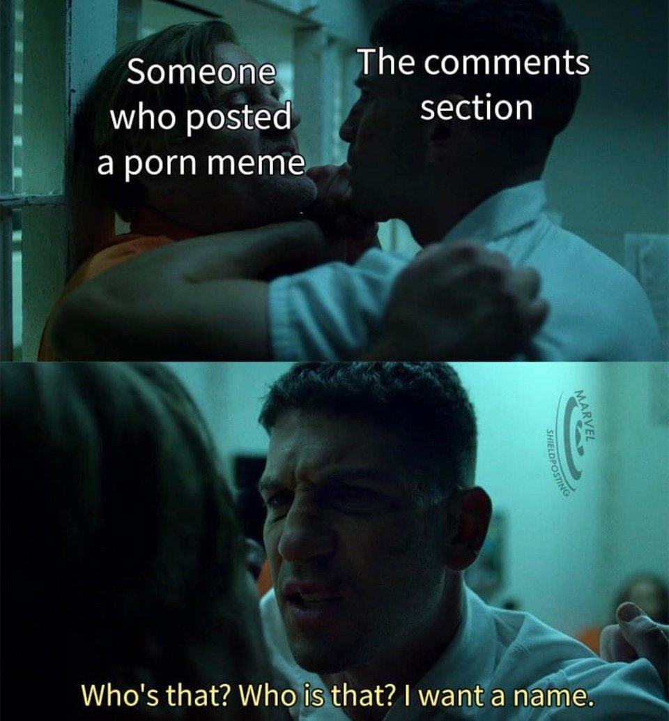 Il pron