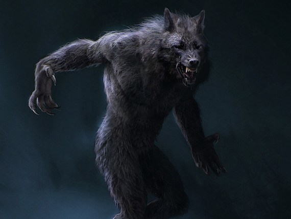 Test Twilight Vampire Ou Loup Garou [TOAST] : Vampire 🧛‍♂️ ou Loup-garou 🐺 - Page 1 - AVENOEL.ORG - Forum