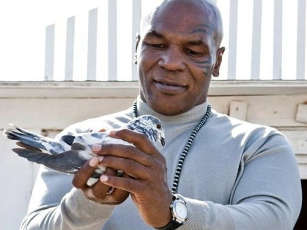 MikeTyson