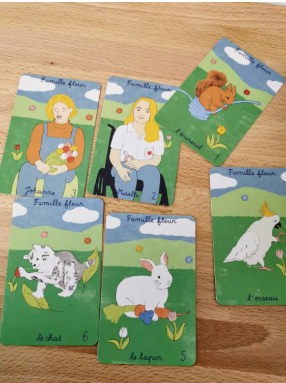 [PROGRÈS] ILS L'ONT FAIT : Le jeu des 7 familles inclusif ! sur Onche ...