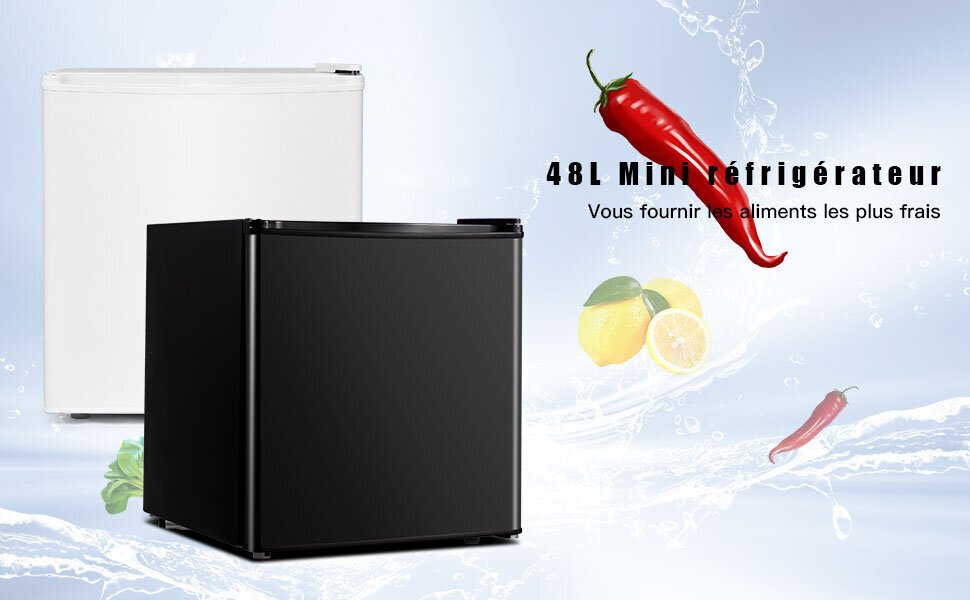 Réfrigérateur 1 porte Giantex Mini Réfrigérateur Silencieux 48L