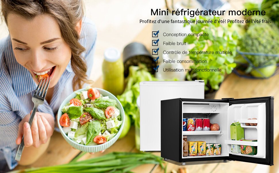 Réfrigérateur 1 porte Giantex Mini Réfrigérateur Silencieux 48L Table Top  Intégrable Noir 47 x 45 x 50 cm (L x l x H) pour Chambre ou Hôtel