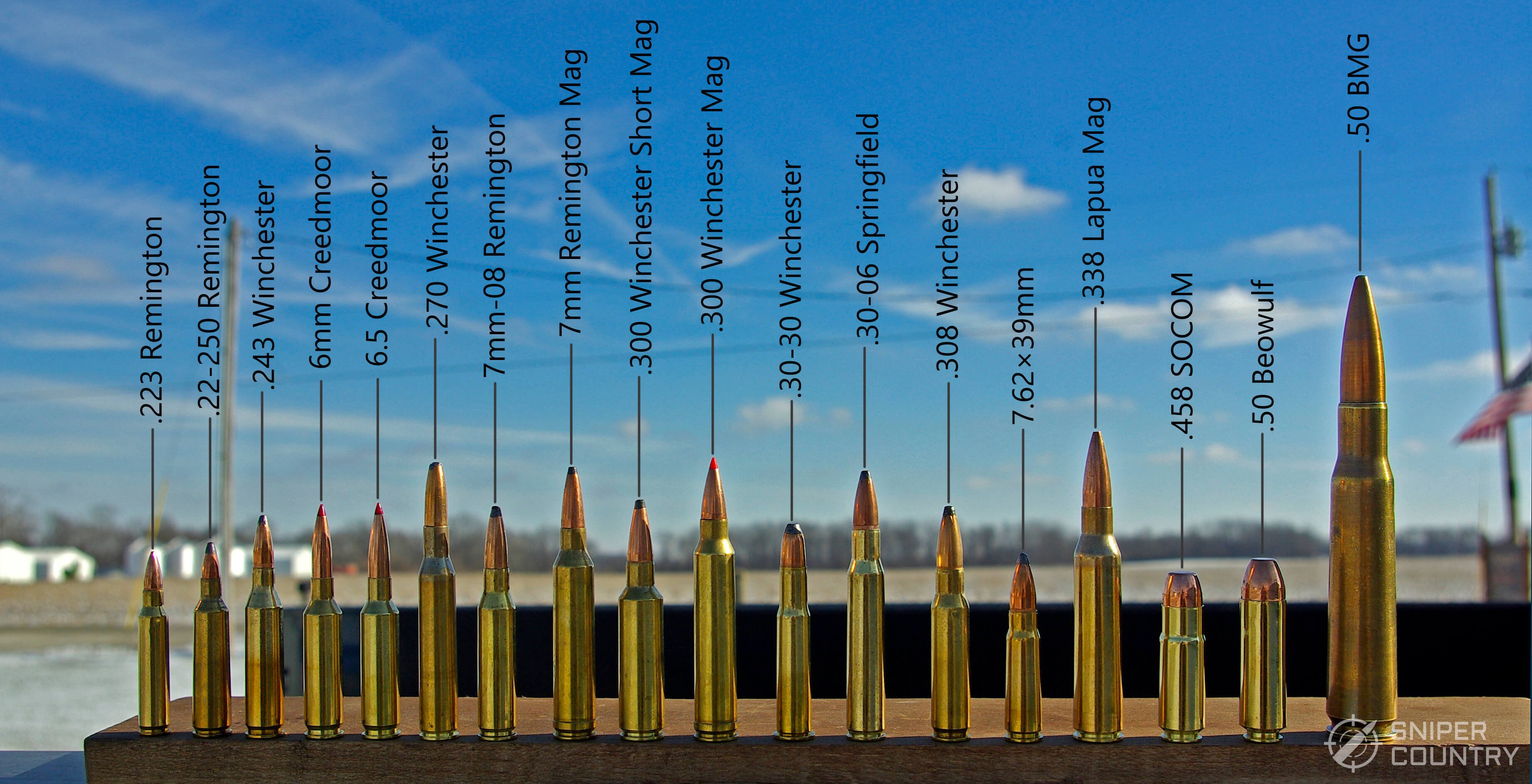 Si vous deviez choisir une munition parmi cette liste sur onche
