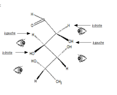 1698433858-capture-d-ecran-2023-10-27-21