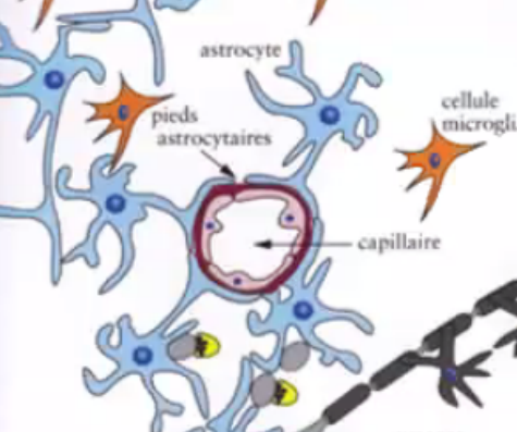 1698953537-capture-d-ecran-2023-11-02-20