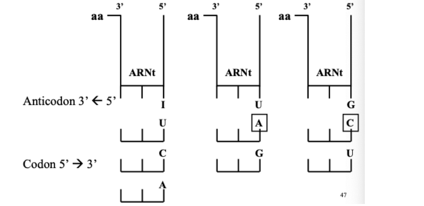 1701799658-capture-d-ecran-2023-12-05-19