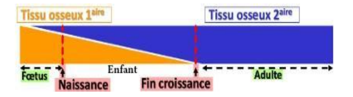 1701977092-capture-d-ecran-2023-12-07-20