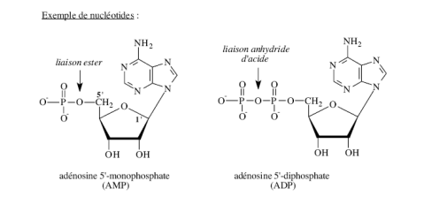 1702312191-capture-d-ecran-2023-12-11-17