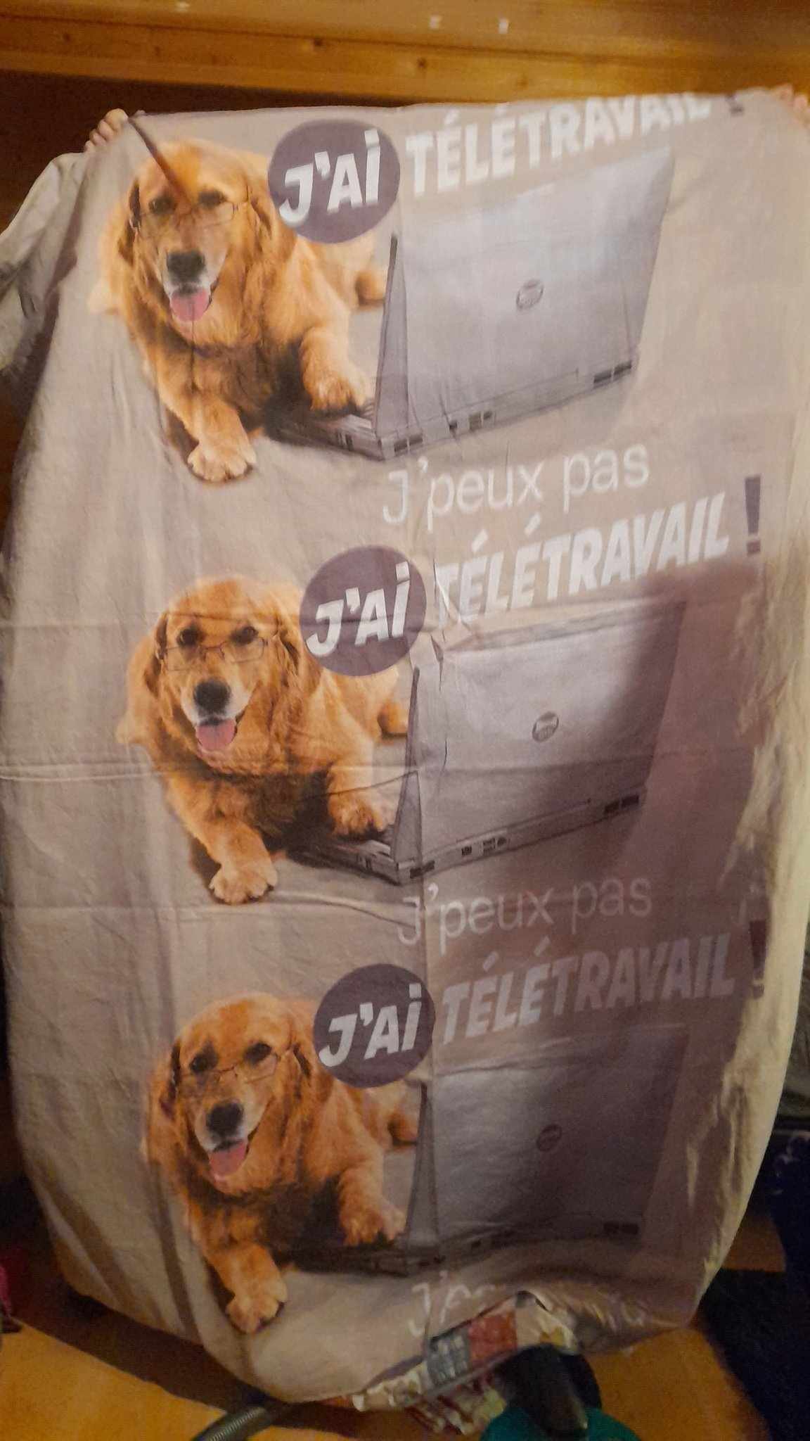 [Photo] J'ai reçu le PIRE CADEAU DE NOËL sur le forum Blabla 1825 ans