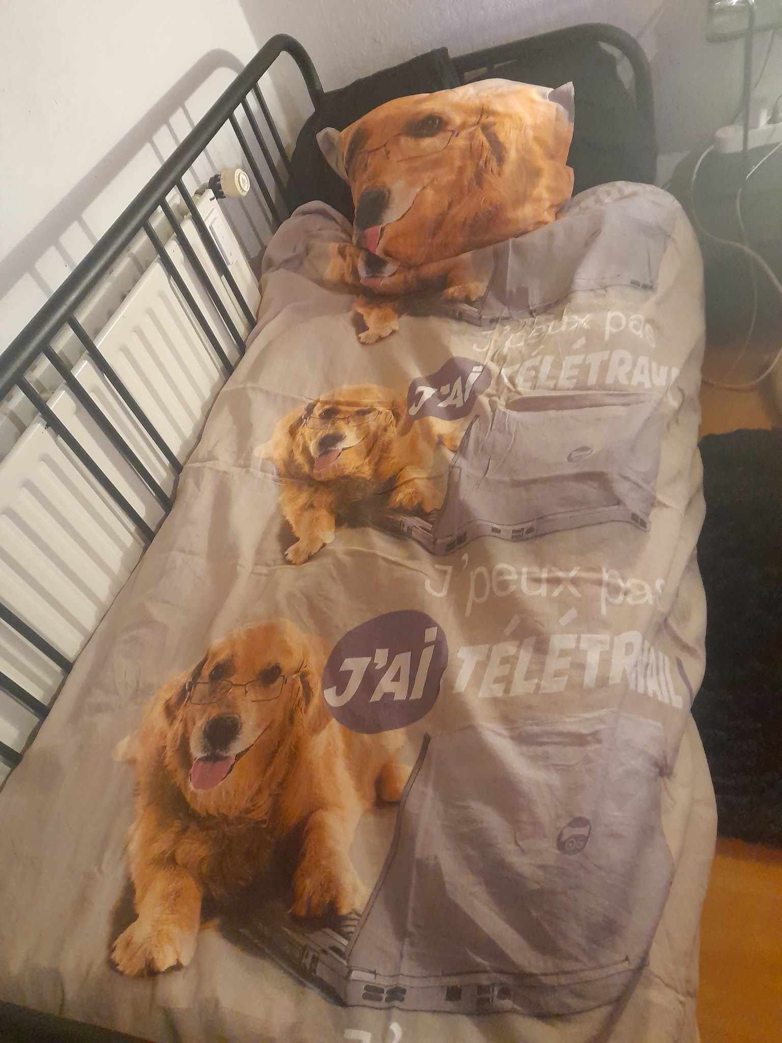 [Photo] J'ai reçu le PIRE CADEAU DE NOËL sur le forum Blabla 1825 ans
